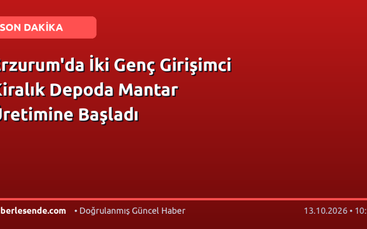 Erzurum'da İki Genç Girişimci Kiralık Depoda Mantar Üretimine Başladı