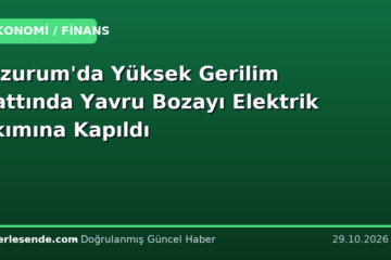 Erzurum'da Yüksek Gerilim Hattında Yavru Bozayı Elektrik Akımına Kapıldı
