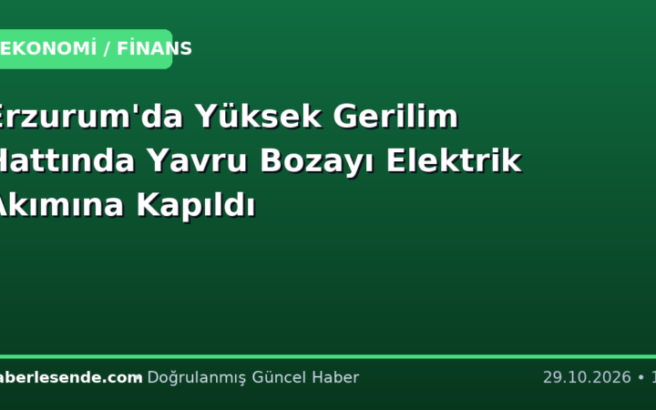 Erzurum'da Yüksek Gerilim Hattında Yavru Bozayı Elektrik Akımına Kapıldı