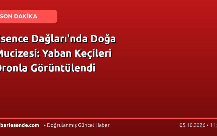 Esence Dağları'nda Doğa Mucizesi: Yaban Keçileri Dronla Görüntülendi