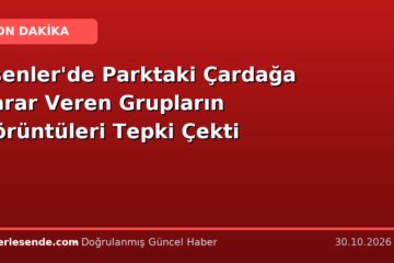 Esenler'de Parktaki Çardağa Zarar Veren Grupların Görüntüleri Tepki Çekti