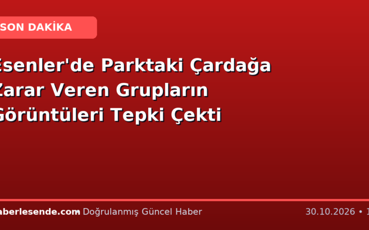 Esenler'de Parktaki Çardağa Zarar Veren Grupların Görüntüleri Tepki Çekti