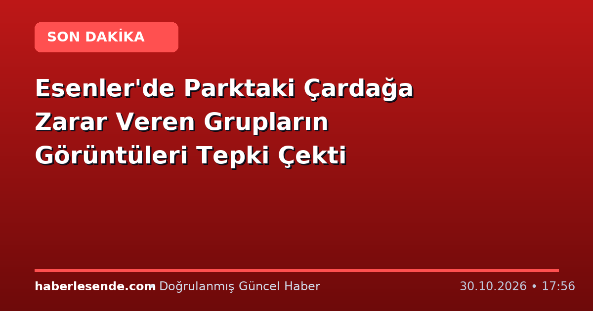 Esenler'de Parktaki Çardağa Zarar Veren Grupların Görüntüleri Tepki Çekti