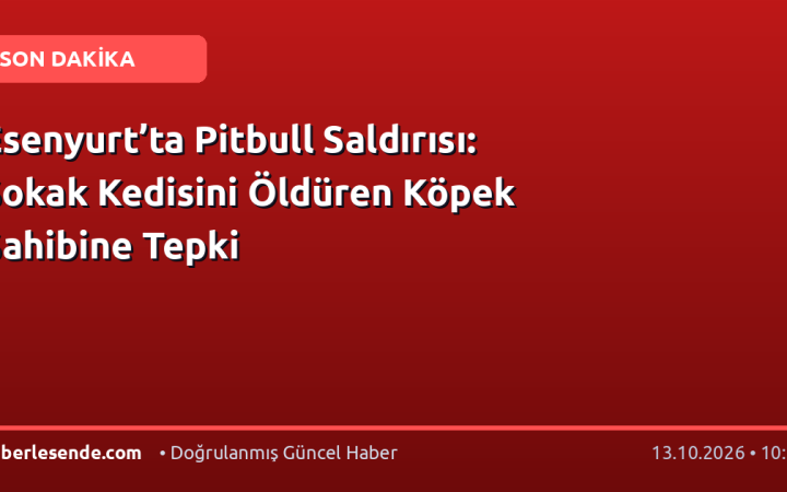 Esenyurt’ta Pitbull Saldırısı: Sokak Kedisini Öldüren Köpek Sahibine Tepki