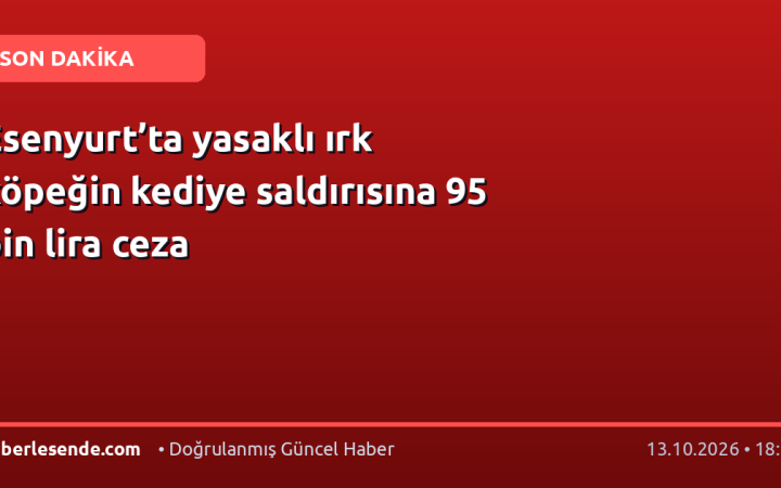 Esenyurt’ta yasaklı ırk köpeğin kediye saldırısına 95 bin lira ceza