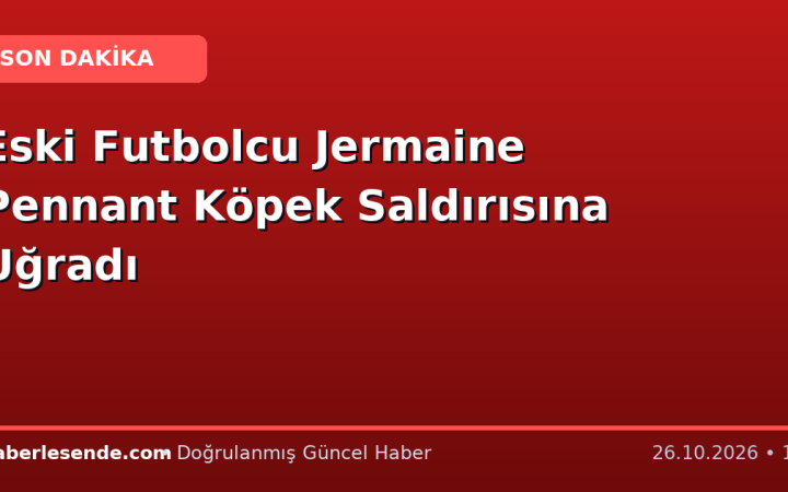Eski Futbolcu Jermaine Pennant Köpek Saldırısına Uğradı