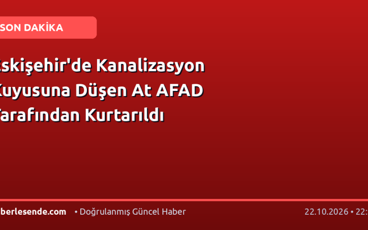 Eskişehir'de Kanalizasyon Kuyusuna Düşen At AFAD Tarafından Kurtarıldı