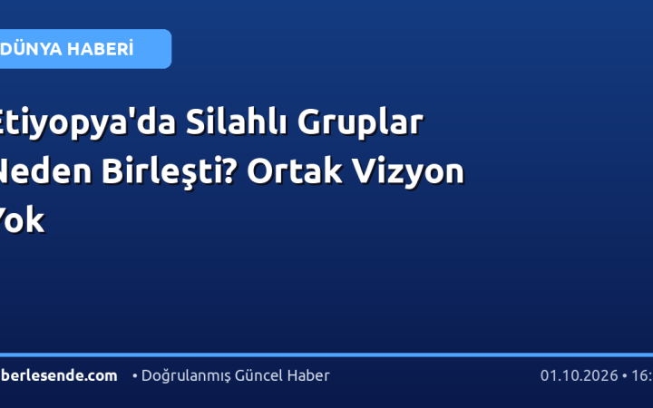 Etiyopya'da Silahlı Gruplar Neden Birleşti? Ortak Vizyon Yok