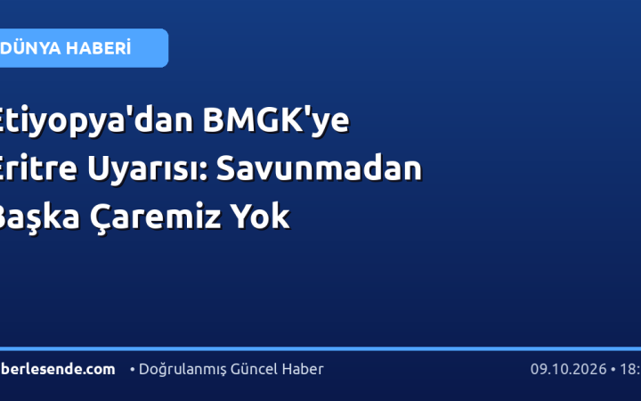 Etiyopya'dan BMGK'ye Eritre Uyarısı: Savunmadan Başka Çaremiz Yok