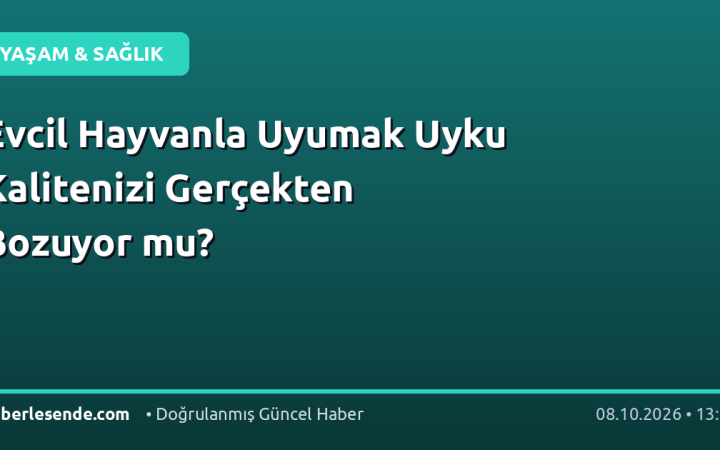 Evcil Hayvanla Uyumak Uyku Kalitenizi Gerçekten Bozuyor mu?
