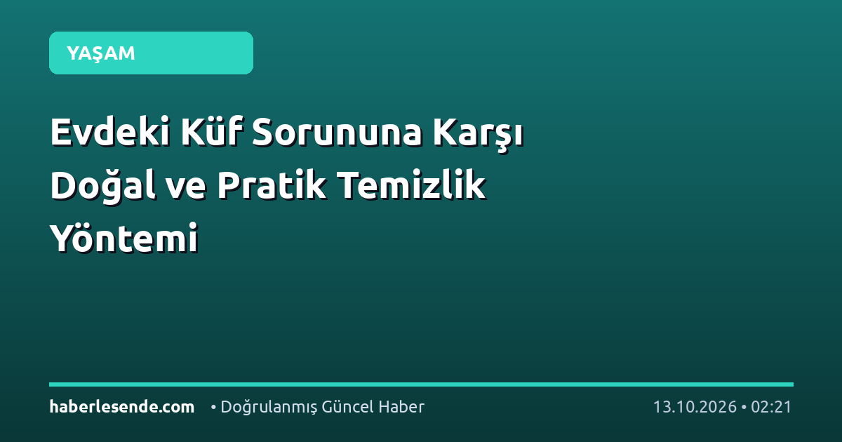 Evdeki Küf Sorununa Karşı Doğal ve Pratik Temizlik Yöntemi