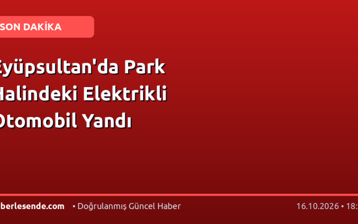 Eyüpsultan'da Park Halindeki Elektrikli Otomobil Yandı