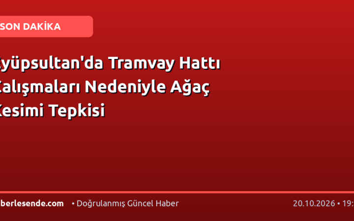 Eyüpsultan'da Tramvay Hattı Çalışmaları Nedeniyle Ağaç Kesimi Tepkisi