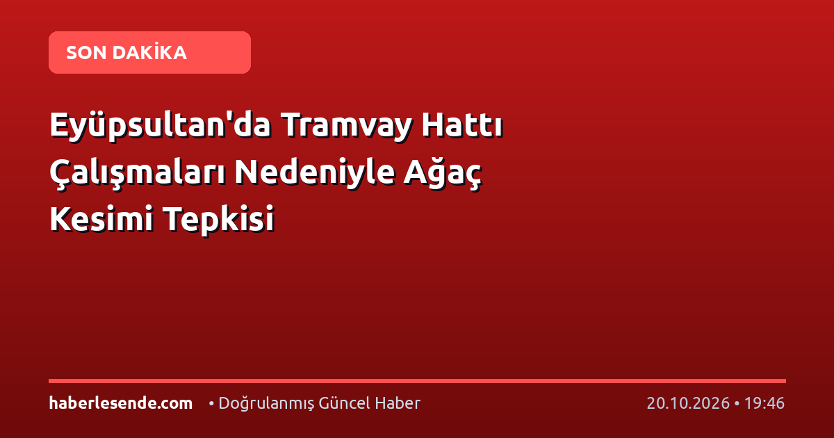 Eyüpsultan'da Tramvay Hattı Çalışmaları Nedeniyle Ağaç Kesimi Tepkisi