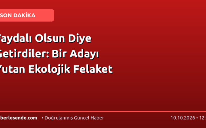 Faydalı Olsun Diye Getirdiler: Bir Adayı Yutan Ekolojik Felaket