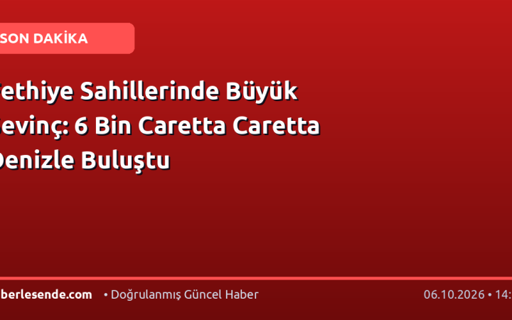Fethiye Sahillerinde Büyük Sevinç: 6 Bin Caretta Caretta Denizle Buluştu