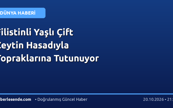 Filistinli Yaşlı Çift Zeytin Hasadıyla Topraklarına Tutunuyor