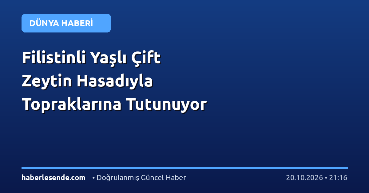 Filistinli Yaşlı Çift Zeytin Hasadıyla Topraklarına Tutunuyor