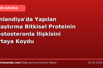 Finlandiya'da Yapılan Araştırma Bitkisel Proteinin Testosteronla İlişkisini Ortaya Koydu