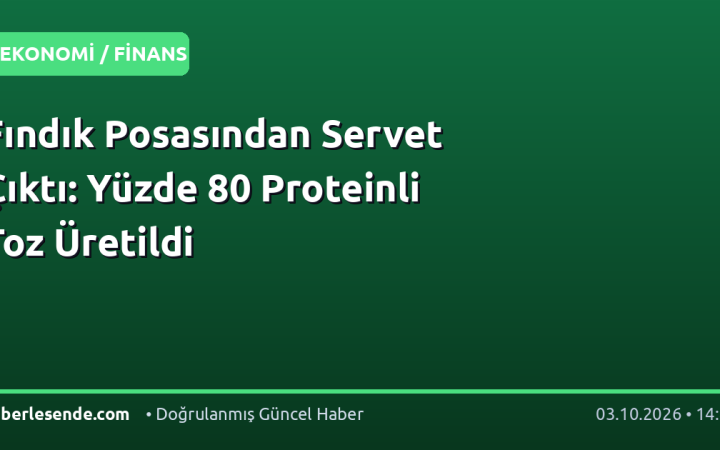Fındık Posasından Servet Çıktı: Yüzde 80 Proteinli Toz Üretildi