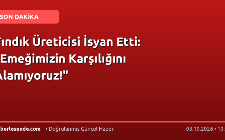 Fındık Üreticisi İsyan Etti: "Emeğimizin Karşılığını Alamıyoruz!"