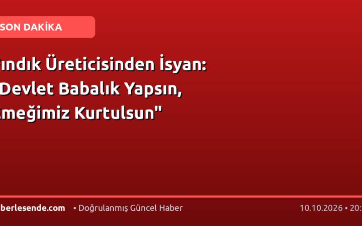 Fındık Üreticisinden İsyan: "Devlet Babalık Yapsın, Emeğimiz Kurtulsun"