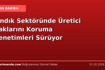 Fındık Sektöründe Üretici Haklarını Koruma Denetimleri Sürüyor