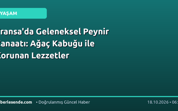 Fransa'da Geleneksel Peynir Zanaatı: Ağaç Kabuğu ile Korunan Lezzetler