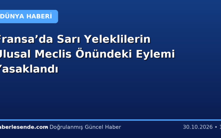 Fransa’da Sarı Yeleklilerin Ulusal Meclis Önündeki Eylemi Yasaklandı