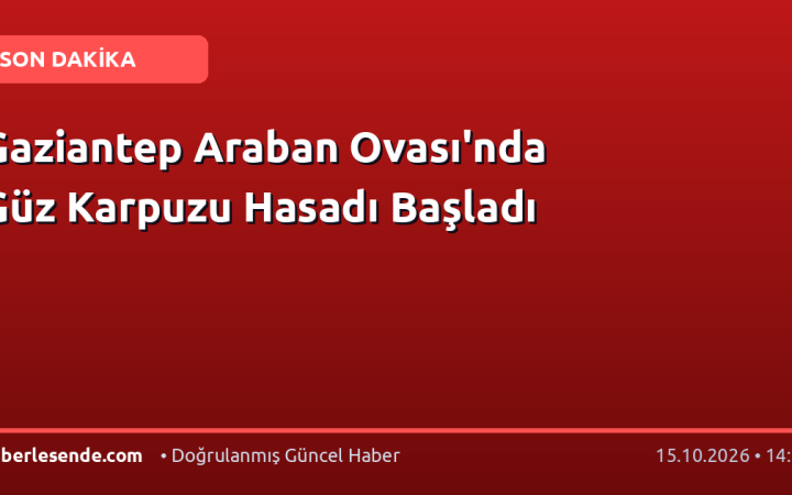 Gaziantep Araban Ovası'nda Güz Karpuzu Hasadı Başladı