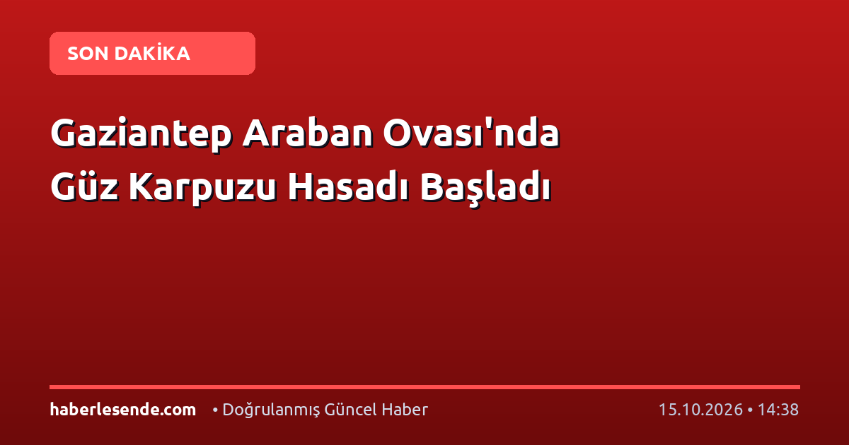 Gaziantep Araban Ovası'nda Güz Karpuzu Hasadı Başladı