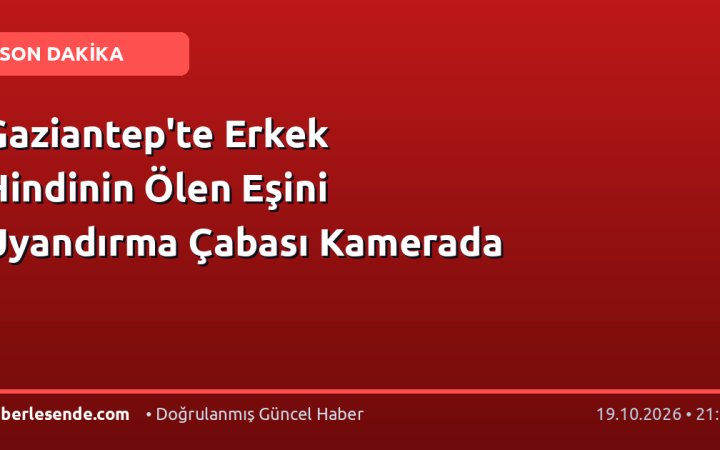 Gaziantep'te Erkek Hindinin Ölen Eşini Uyandırma Çabası Kamerada