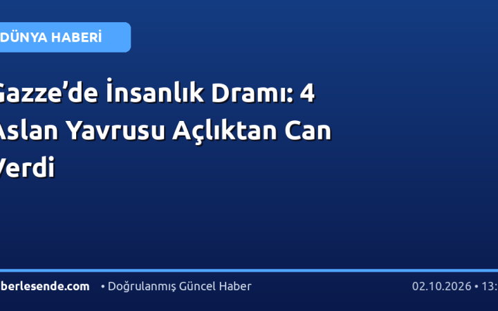 Gazze’de İnsanlık Dramı: 4 Aslan Yavrusu Açlıktan Can Verdi