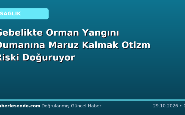 Gebelikte Orman Yangını Dumanına Maruz Kalmak Otizm Riski Doğuruyor