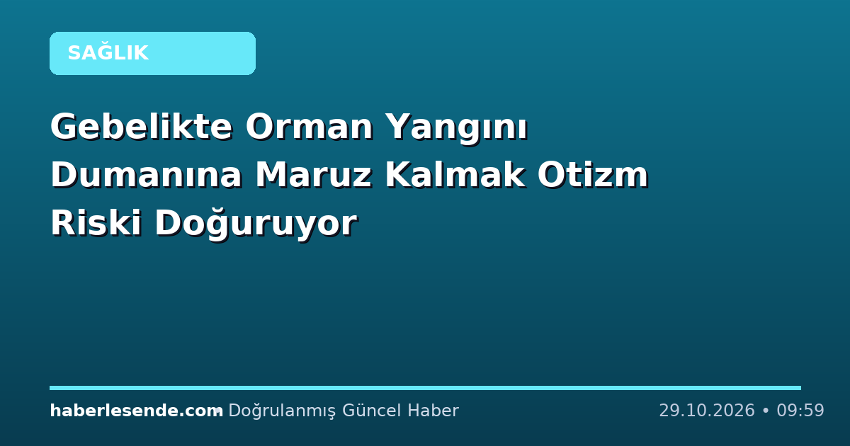 Gebelikte Orman Yangını Dumanına Maruz Kalmak Otizm Riski Doğuruyor