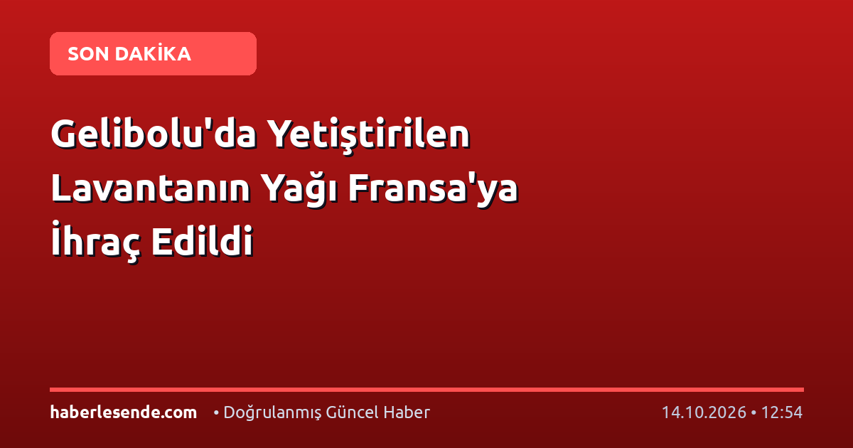 Gelibolu'da Yetiştirilen Lavantanın Yağı Fransa'ya İhraç Edildi