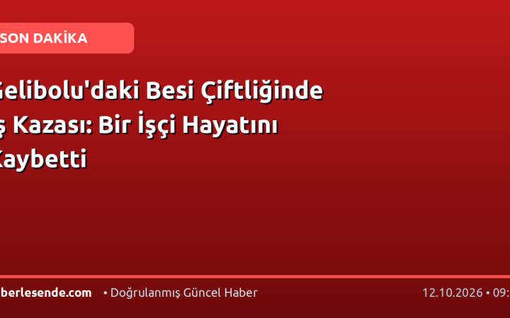 Gelibolu'daki Besi Çiftliğinde İş Kazası: Bir İşçi Hayatını Kaybetti
