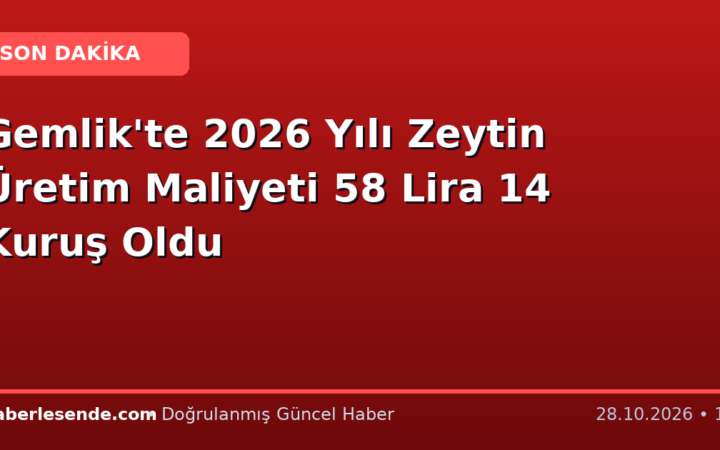 Gemlik'te 2026 Yılı Zeytin Üretim Maliyeti 58 Lira 14 Kuruş Oldu