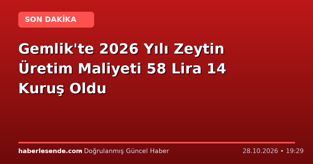 Gemlik'te 2026 Yılı Zeytin Üretim Maliyeti 58 Lira 14 Kuruş Oldu