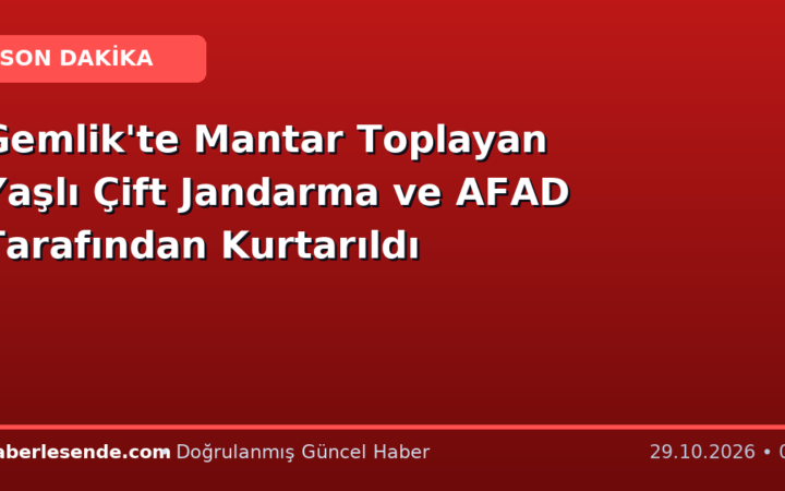 Gemlik'te Mantar Toplayan Yaşlı Çift Jandarma ve AFAD Tarafından Kurtarıldı