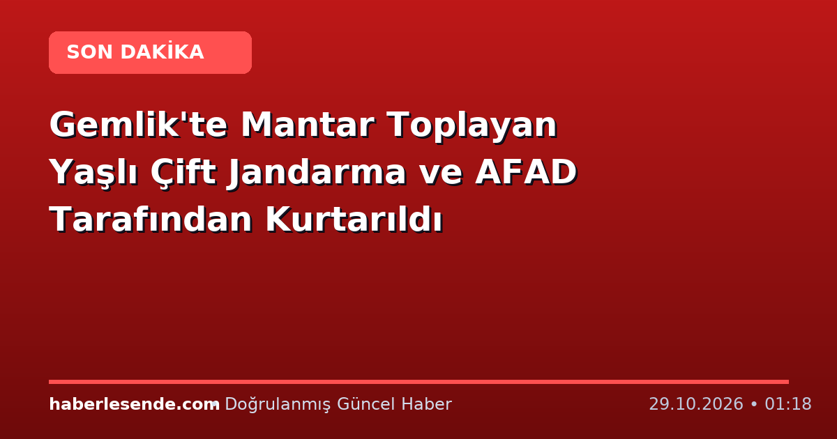 Gemlik'te Mantar Toplayan Yaşlı Çift Jandarma ve AFAD Tarafından Kurtarıldı