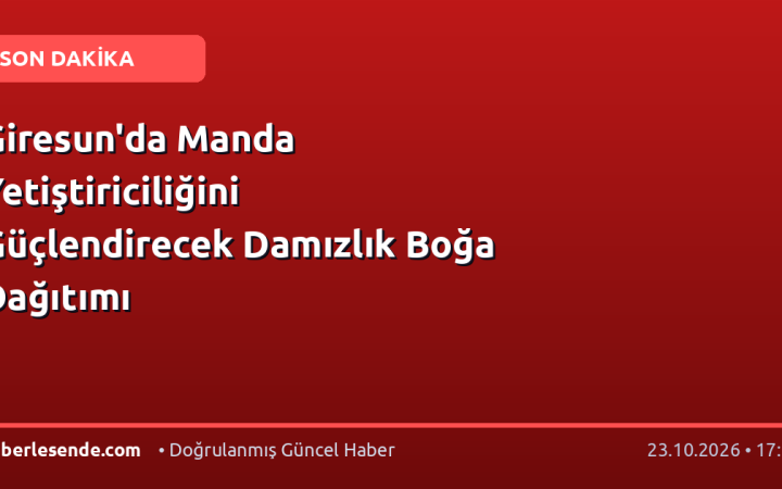 Giresun'da Manda Yetiştiriciliğini Güçlendirecek Damızlık Boğa Dağıtımı