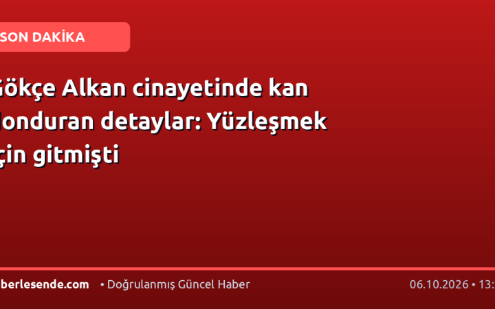 Gökçe Alkan cinayetinde kan donduran detaylar: Yüzleşmek için gitmişti