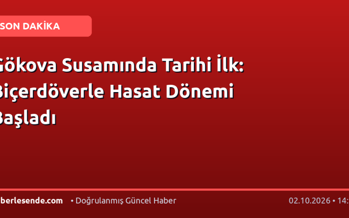 Gökova Susamında Tarihi İlk: Biçerdöverle Hasat Dönemi Başladı