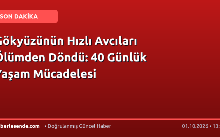 Gökyüzünün Hızlı Avcıları Ölümden Döndü: 40 Günlük Yaşam Mücadelesi