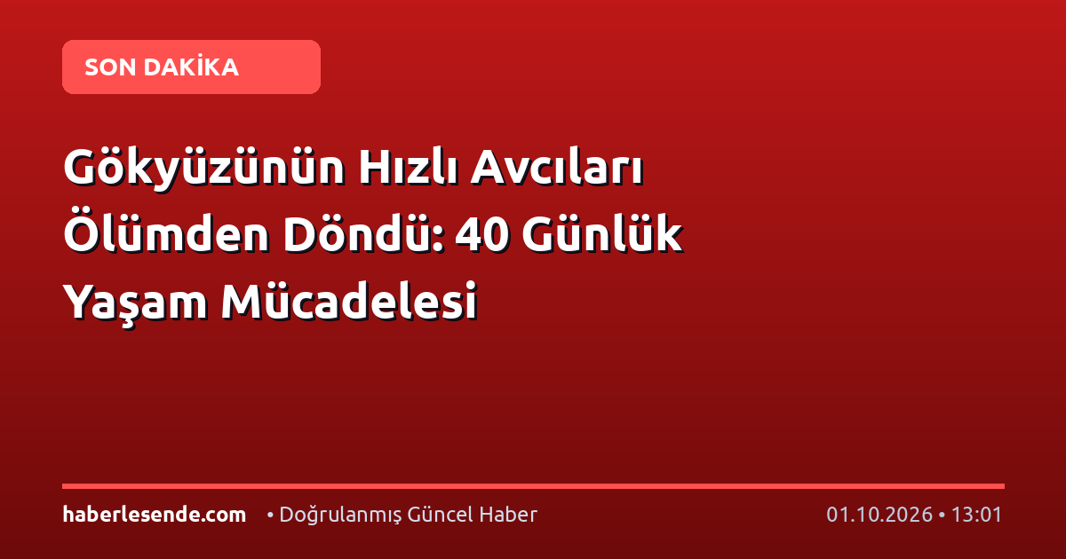 Gökyüzünün Hızlı Avcıları Ölümden Döndü: 40 Günlük Yaşam Mücadelesi