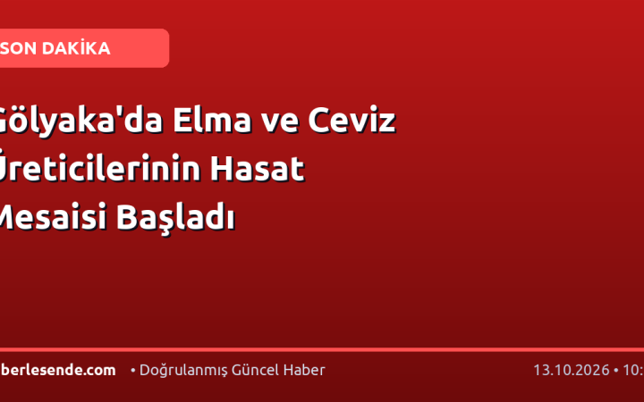 Gölyaka'da Elma ve Ceviz Üreticilerinin Hasat Mesaisi Başladı