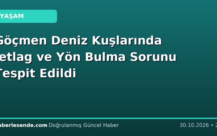 Göçmen Deniz Kuşlarında Jetlag ve Yön Bulma Sorunu Tespit Edildi