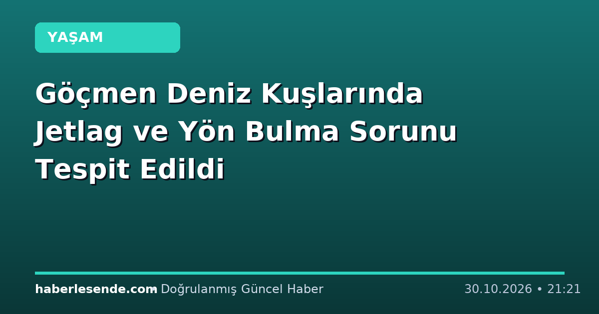 Göçmen Deniz Kuşlarında Jetlag ve Yön Bulma Sorunu Tespit Edildi