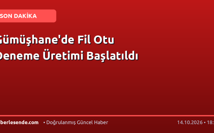 Gümüşhane'de Fil Otu Deneme Üretimi Başlatıldı
